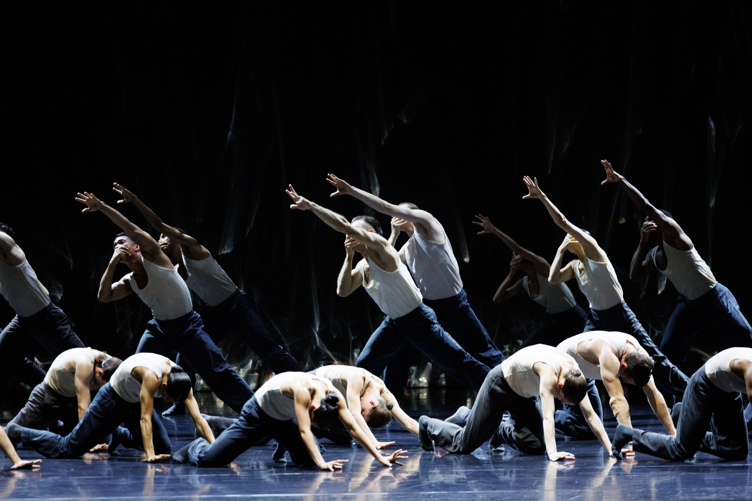 Nederlands Dans Theater 1 in <i>Figures in Extinction</i> by Crystal Pite and Simon McBurney &copy; Andrew Perry