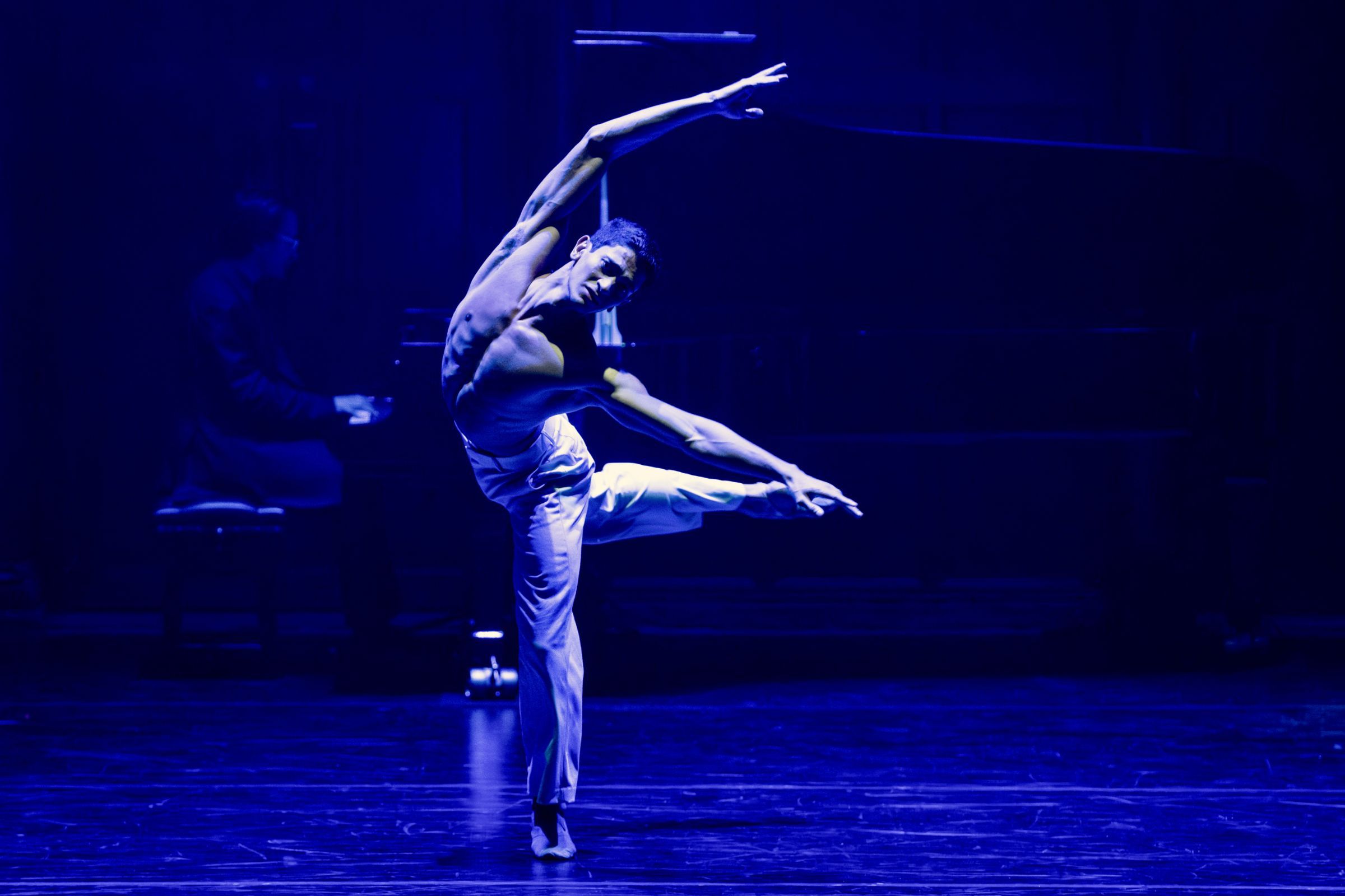 Denilson Almeida in Calvin Richardson's <i>The Dying Swan</i> © Deborah Jaffe