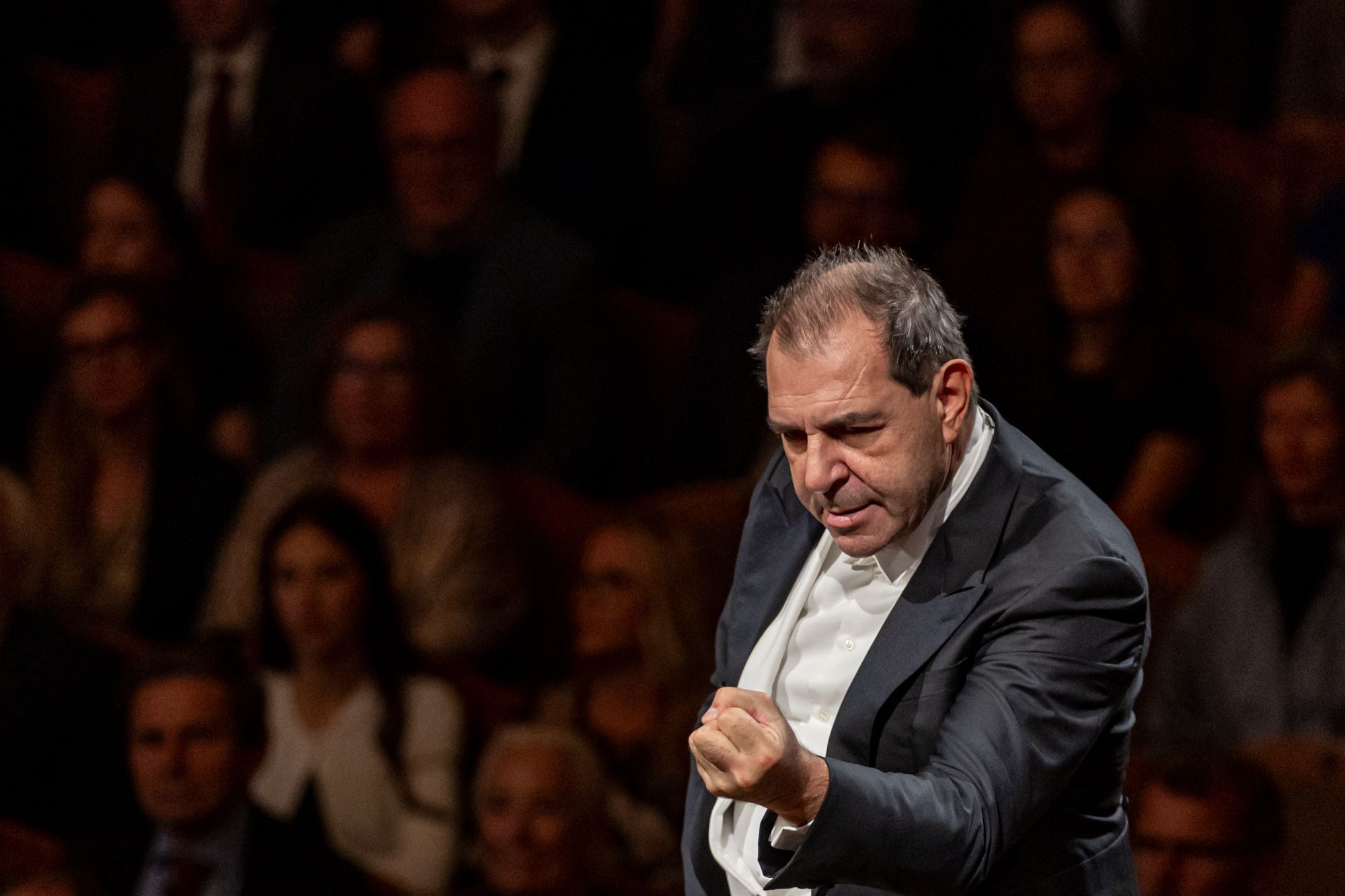 Daniele Gatti © Dvořák Prague Festival