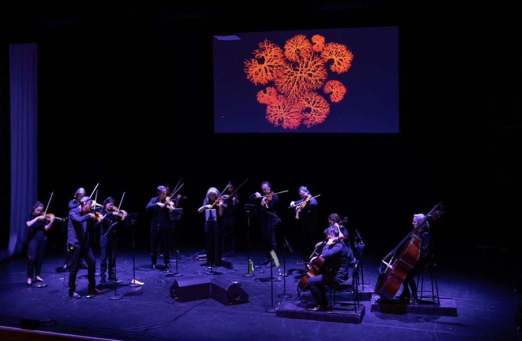 Scottish Ensemble &copy; Matthias Kremer