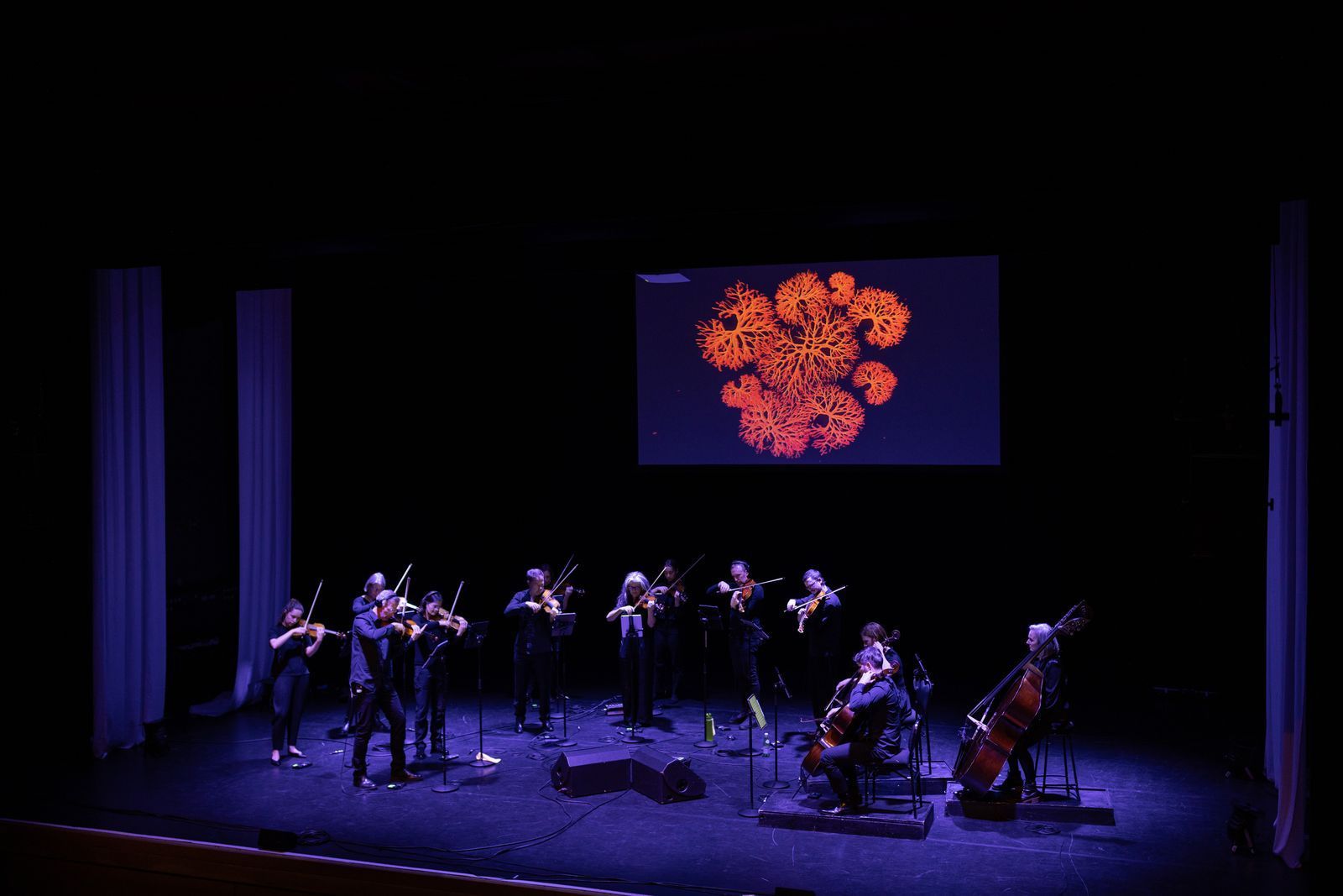 Scottish Ensemble &copy; Matthias Kremer