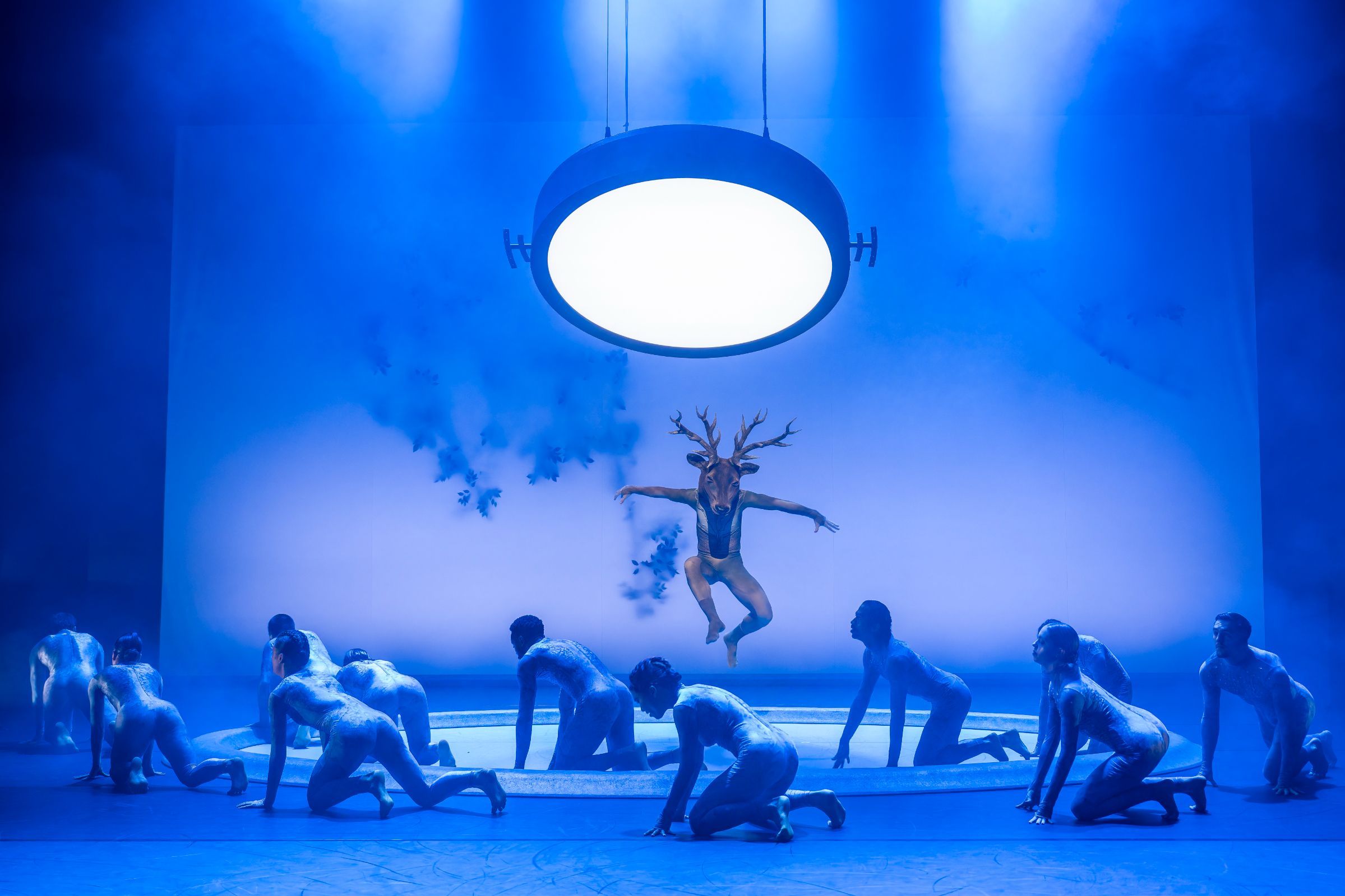 TanzLuzern in Mthuthuzeli November's <i>Oh Deer</i> © Ingo Hoehn
