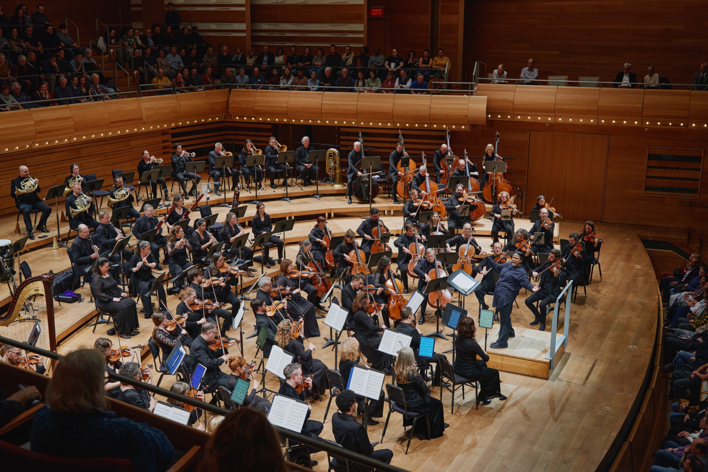 Glass Marcano &copy; Courtesy of Orchestre Métropolitain