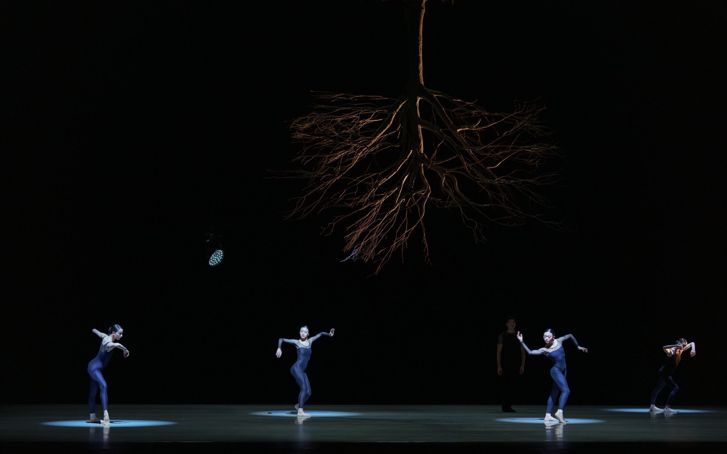 Dutch National Ballet in Jiří Kylián's <i>Wings of Wax</i> &copy; Altin Kaftira