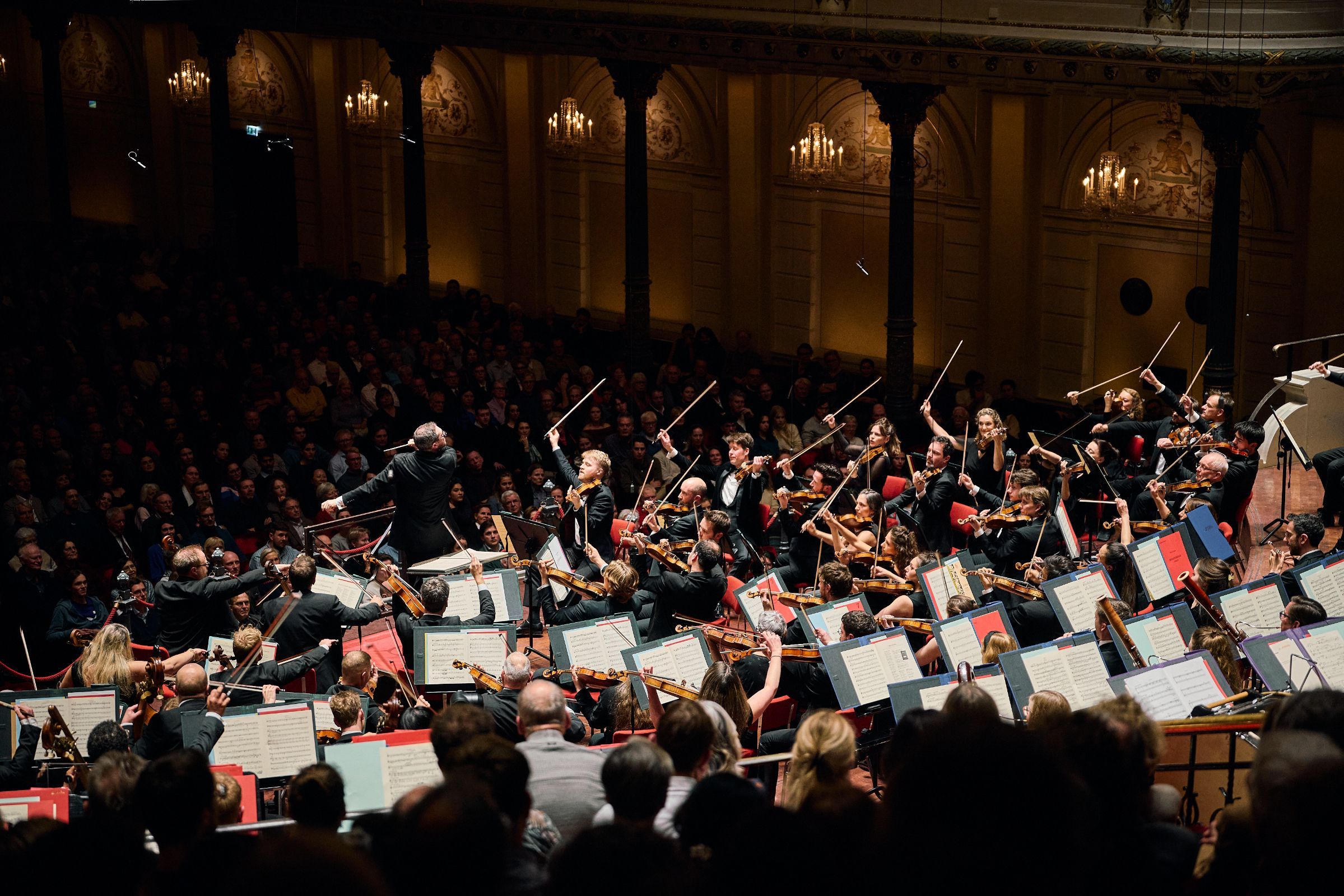 John Wilson conducts the Sinfonia of London &copy; Eduardus Lee