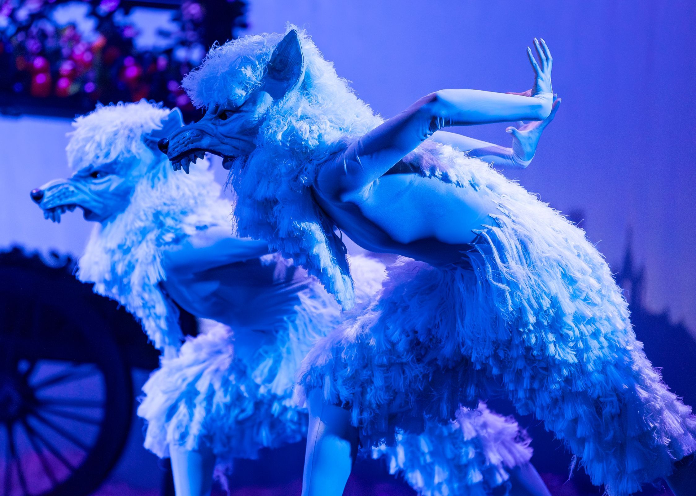 Snow Wolves in Christopher Hampson's <i>The Snow Queen</i> &copy; Andy Ross
