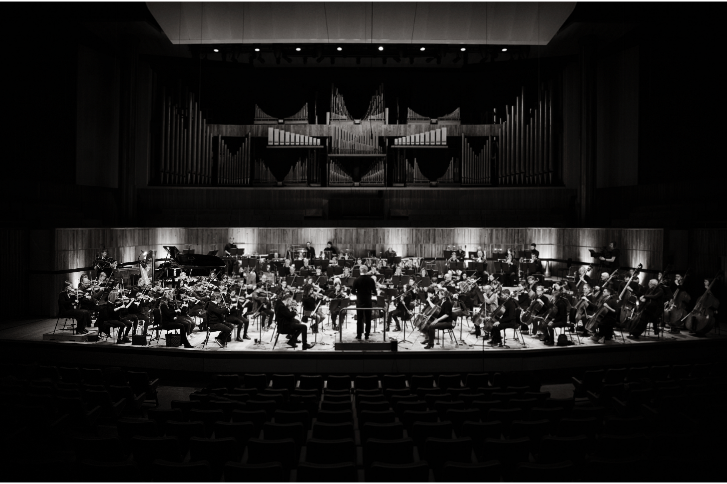 London Philharmonic Orchestra in the Royal Festival Hall, London © Jason Bell
