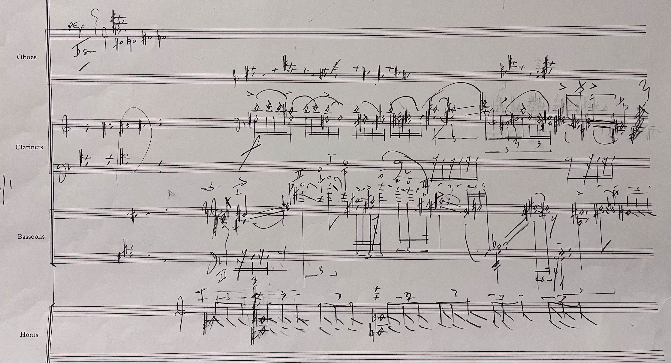Liza Lim: sketch for <i>A Sutured World</i> &copy; Courtesy of Liza Lim