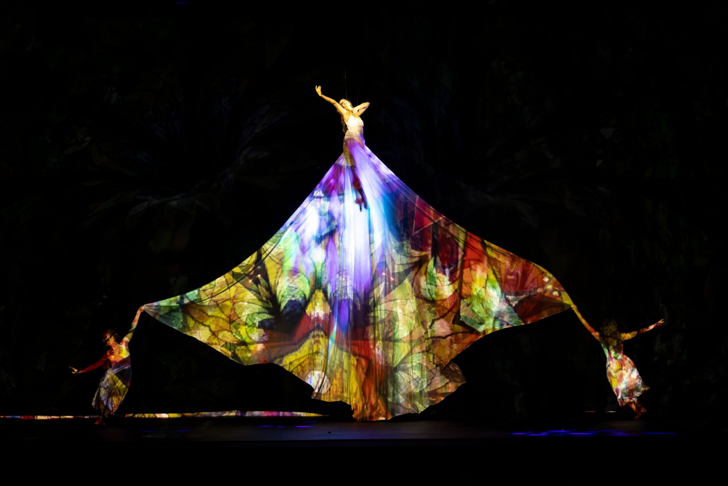 MOMIX in Moses Pendleton's <i>ALICE</i> &copy; Renato Mangolin