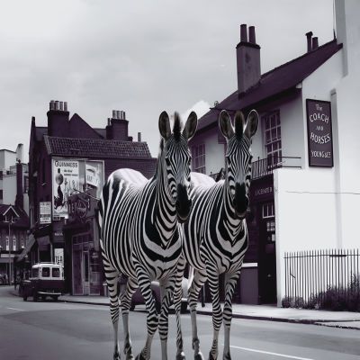 Opening Concert – Britten Noyes Fludde