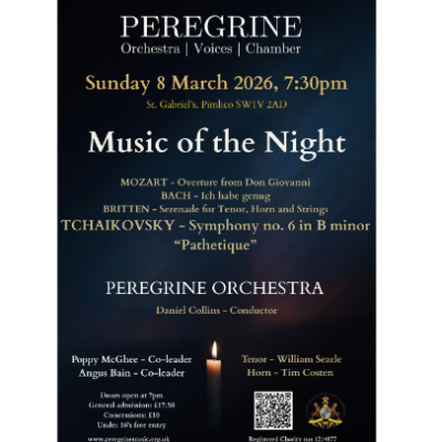 Peregrine Orchestra - Music of the Night
