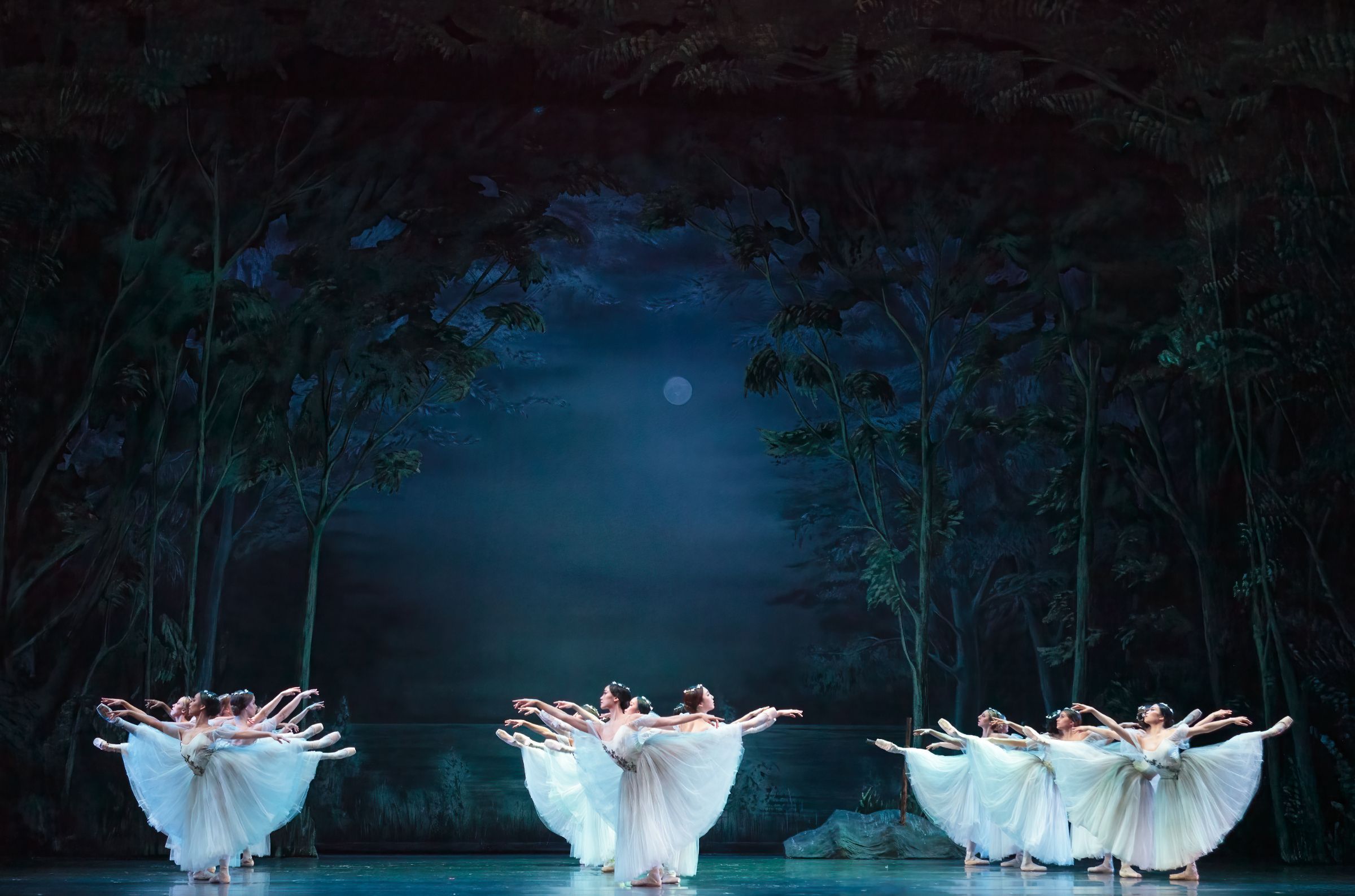 Atlanta Ballet in Act 2 of Gennadi Nedvigin’s <i>Giselle</i> &copy; Kim Kenney
