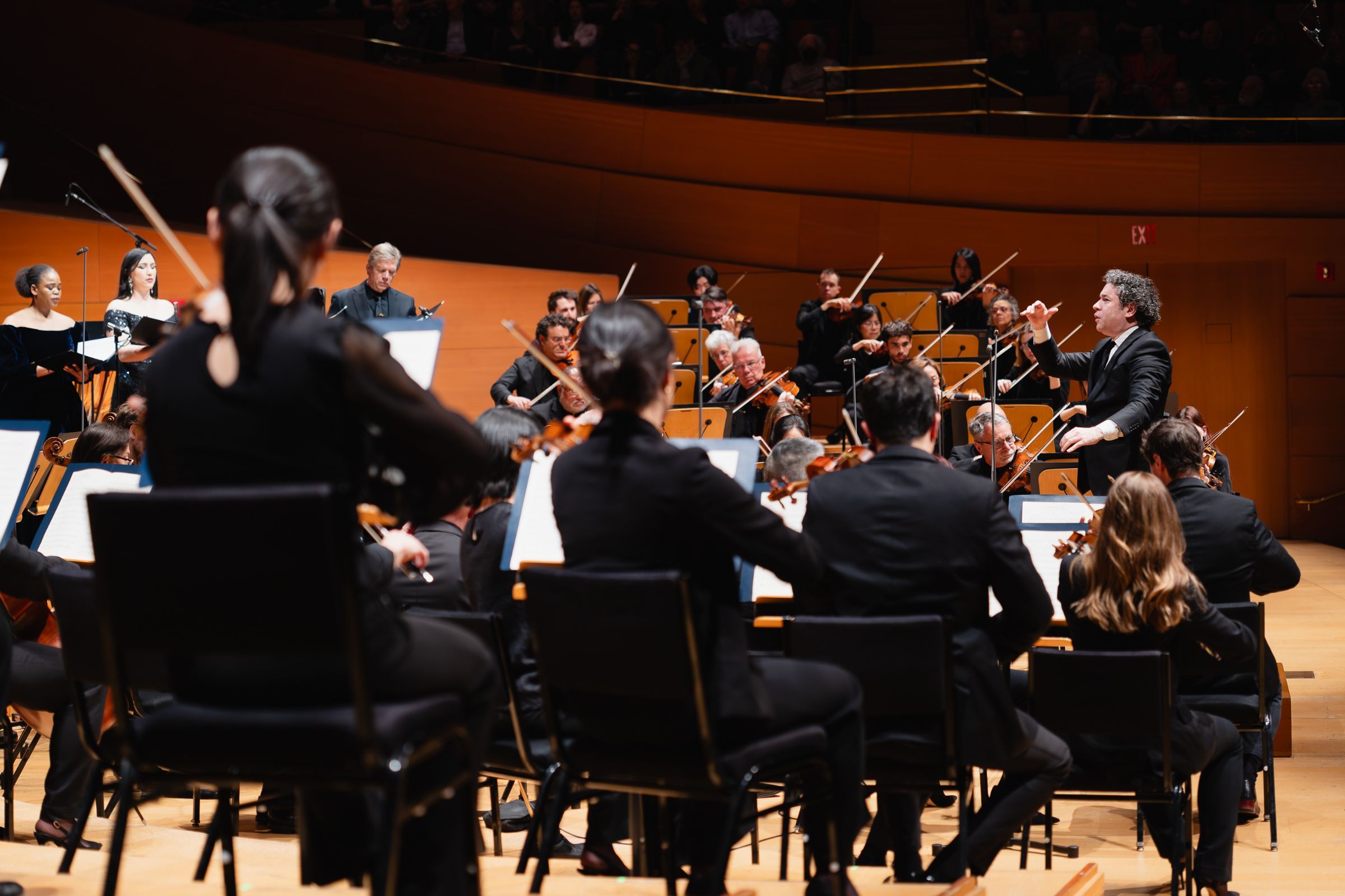 Gustavo Dudamel conducts the Los Angeles Philharmonic &copy; Farah Sosa ​