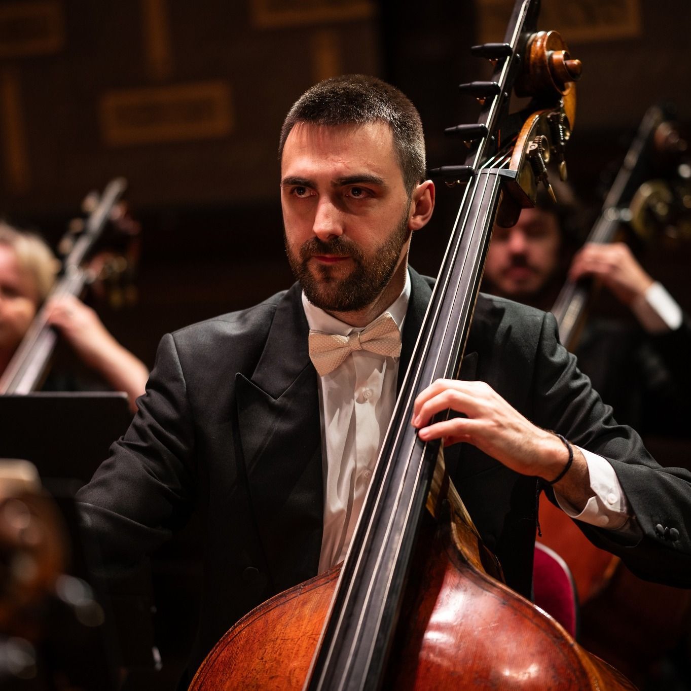 José Moreira &copy; Royal Stockholm Philharmonic Orchestra