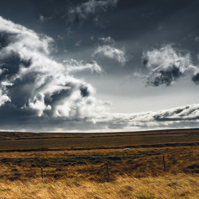 &copy; Marek Piwnicki