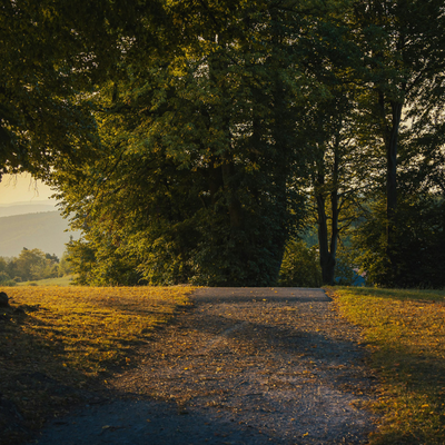 &copy; Maximilian Orlowsky