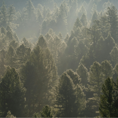 &copy; Alexander Nero