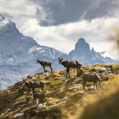 &copy; Marek Piwnicki