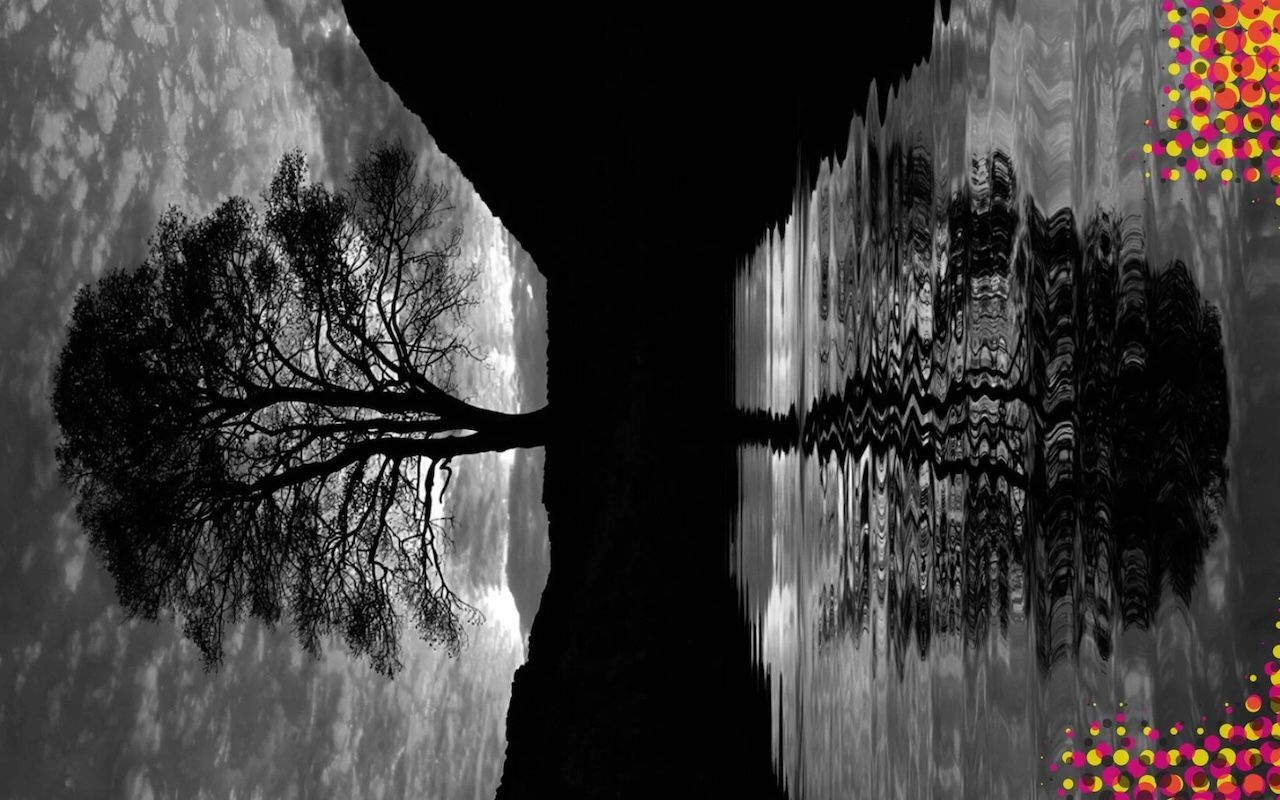 26 Mar 2026 - Kings Place: I Fagiolini