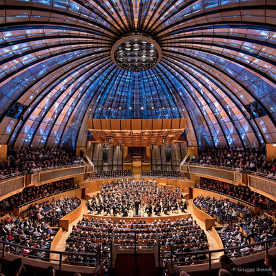 &copy; Susanne Diesner