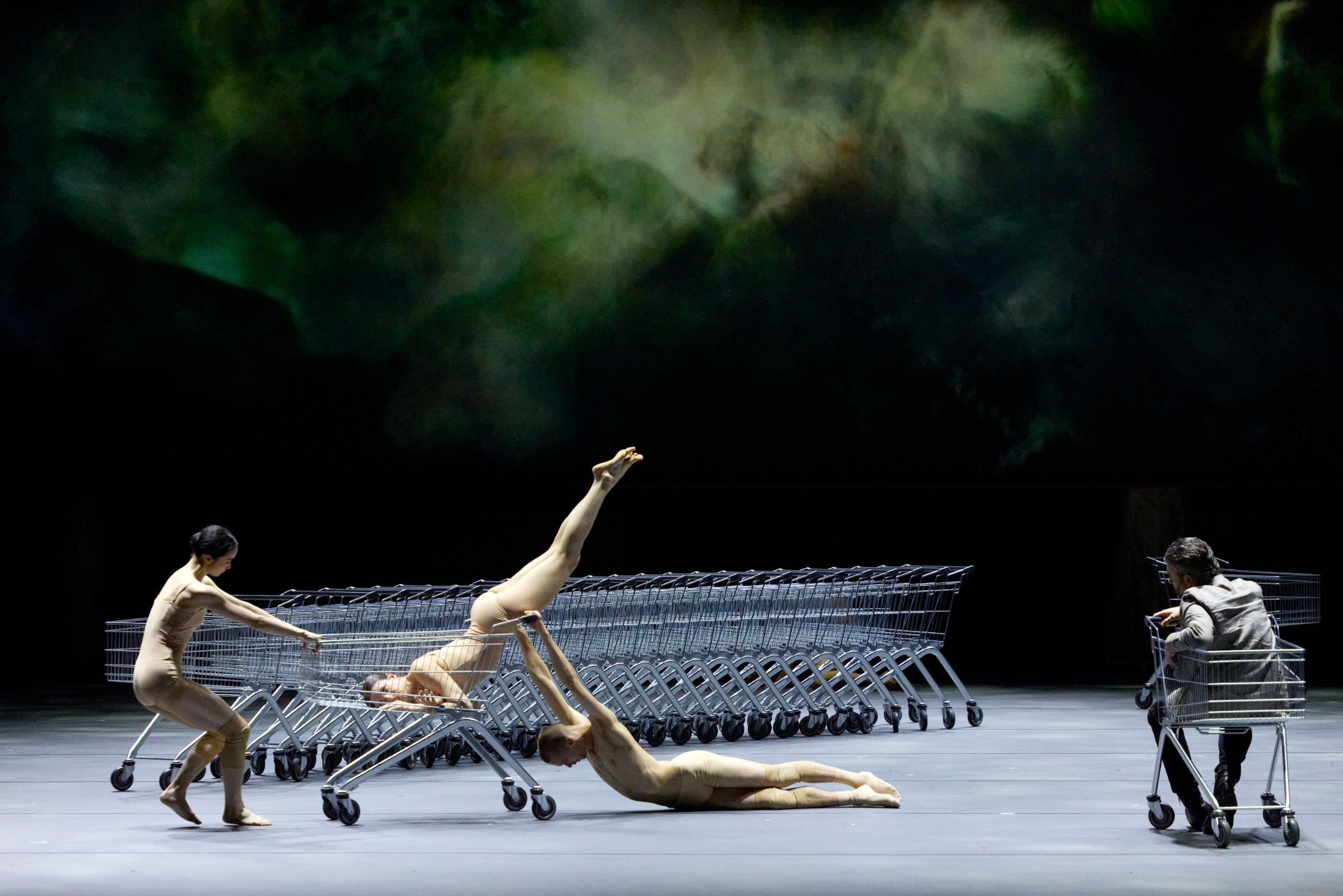 <i>Castor et Pollux</i> &copy; Magali Dougados
