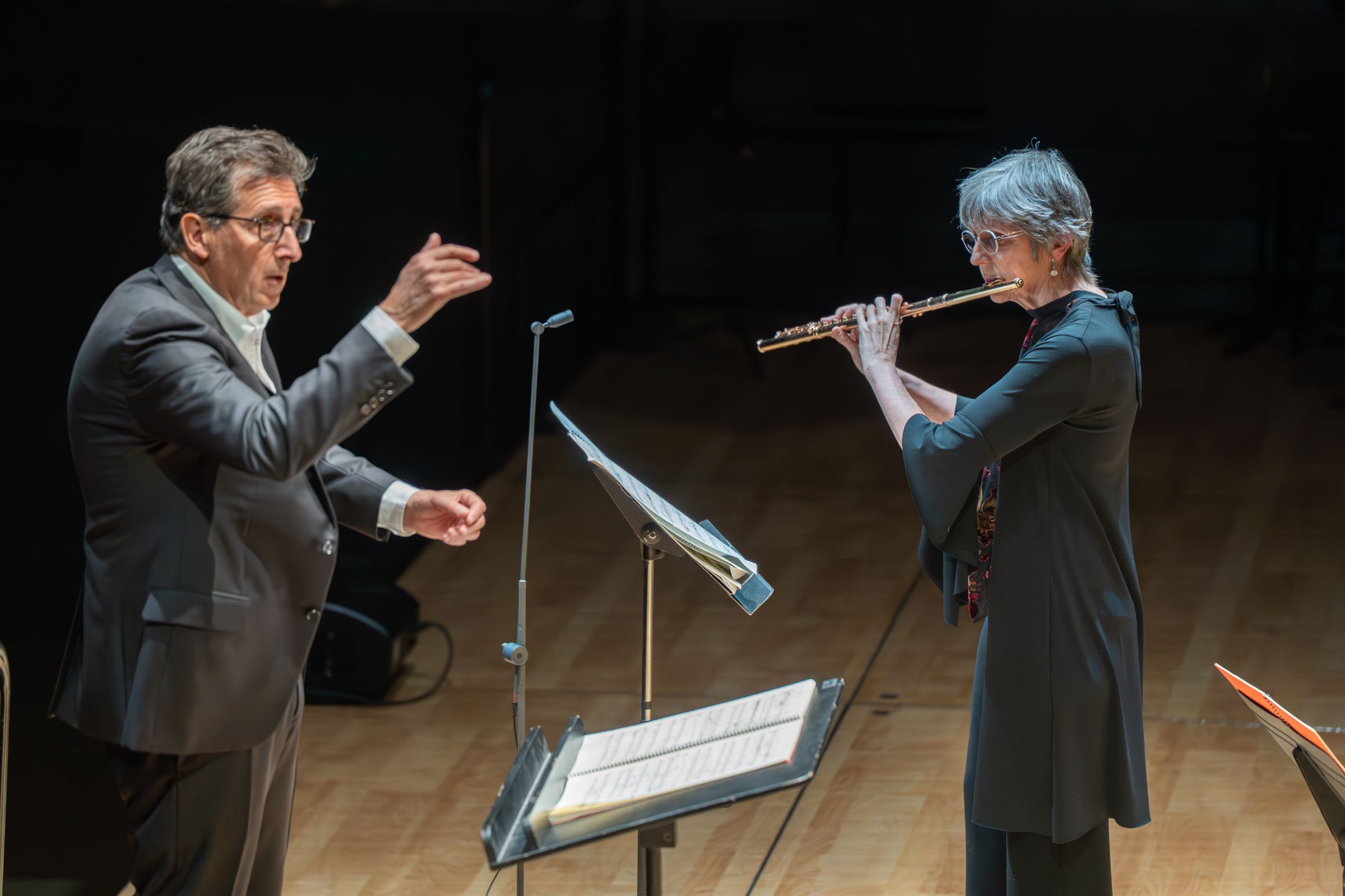 Pascal Rophé et Sophie Cherrier dans <i>Daedalus II</i> &copy; Anne-Élise Grosbois