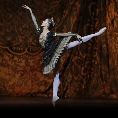 &copy; Svetlana Loboff - OnP