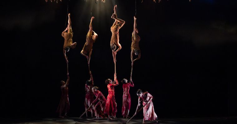 The Australian Ballet and Bangarra Dance Theatre in <i>Flora</i> © Daniel Boud