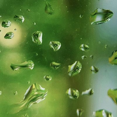 &copy; Rene Jakobson