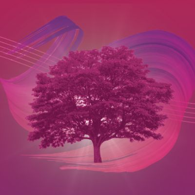 Royal Philharmonic Orchestra at 80