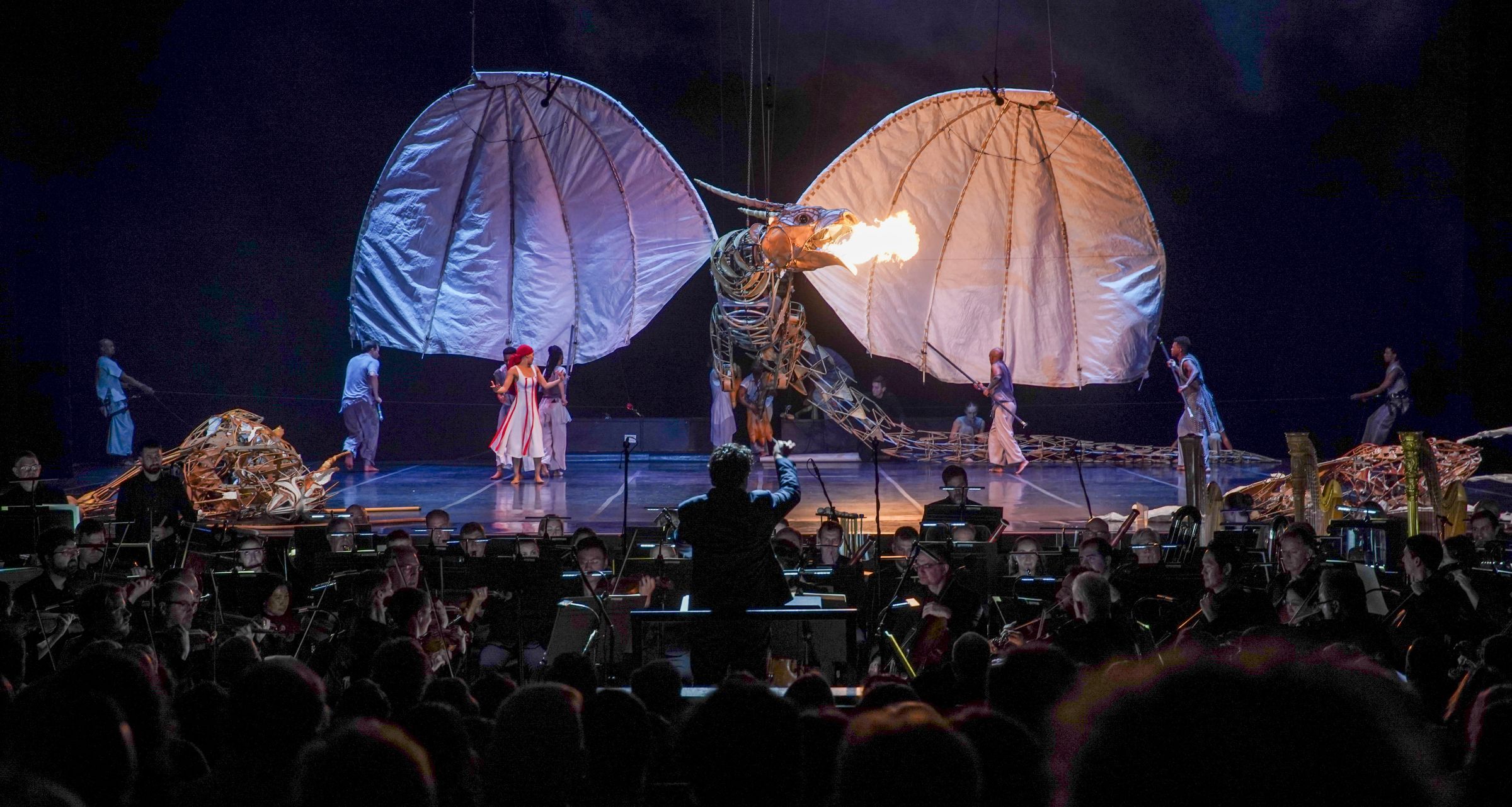 <i>The Firebird</i> at Music Hall, Cincinnati &copy; Mark Lyons