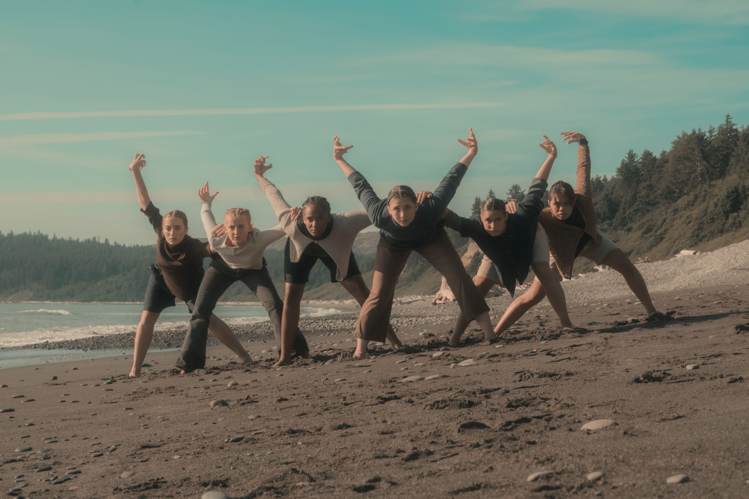 <i>The Flock</i> by Idy Vandepas © The Âme Project