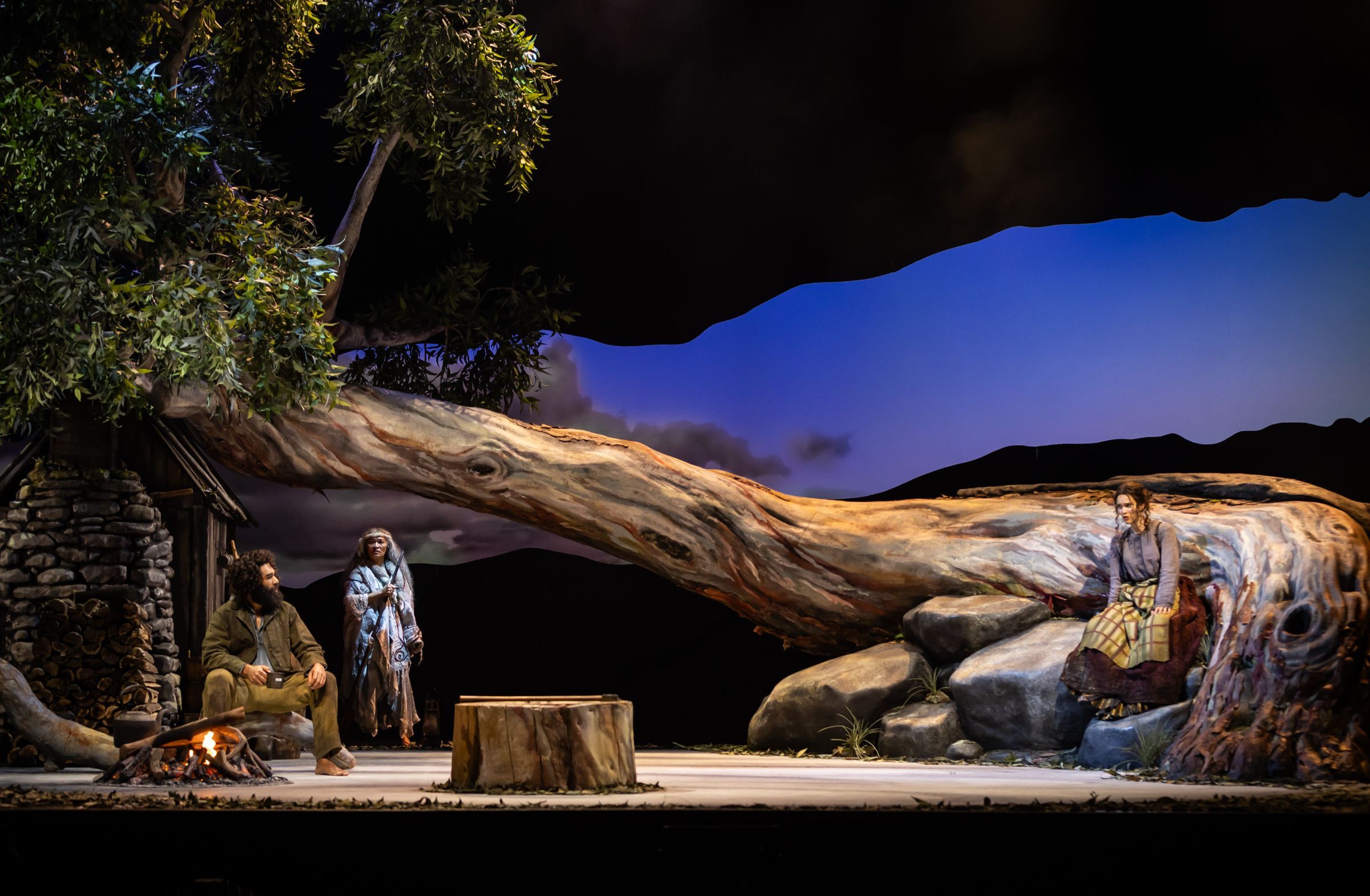 <i>The Drover’s Wife</i> © David Kelly