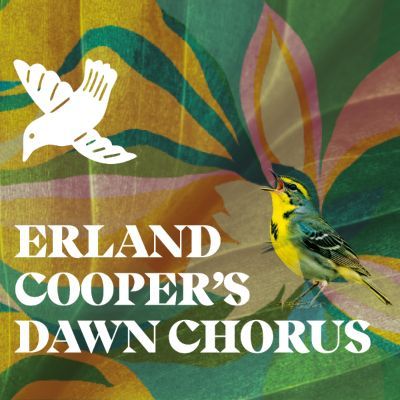 Erland Cooper's Dawn Chorus