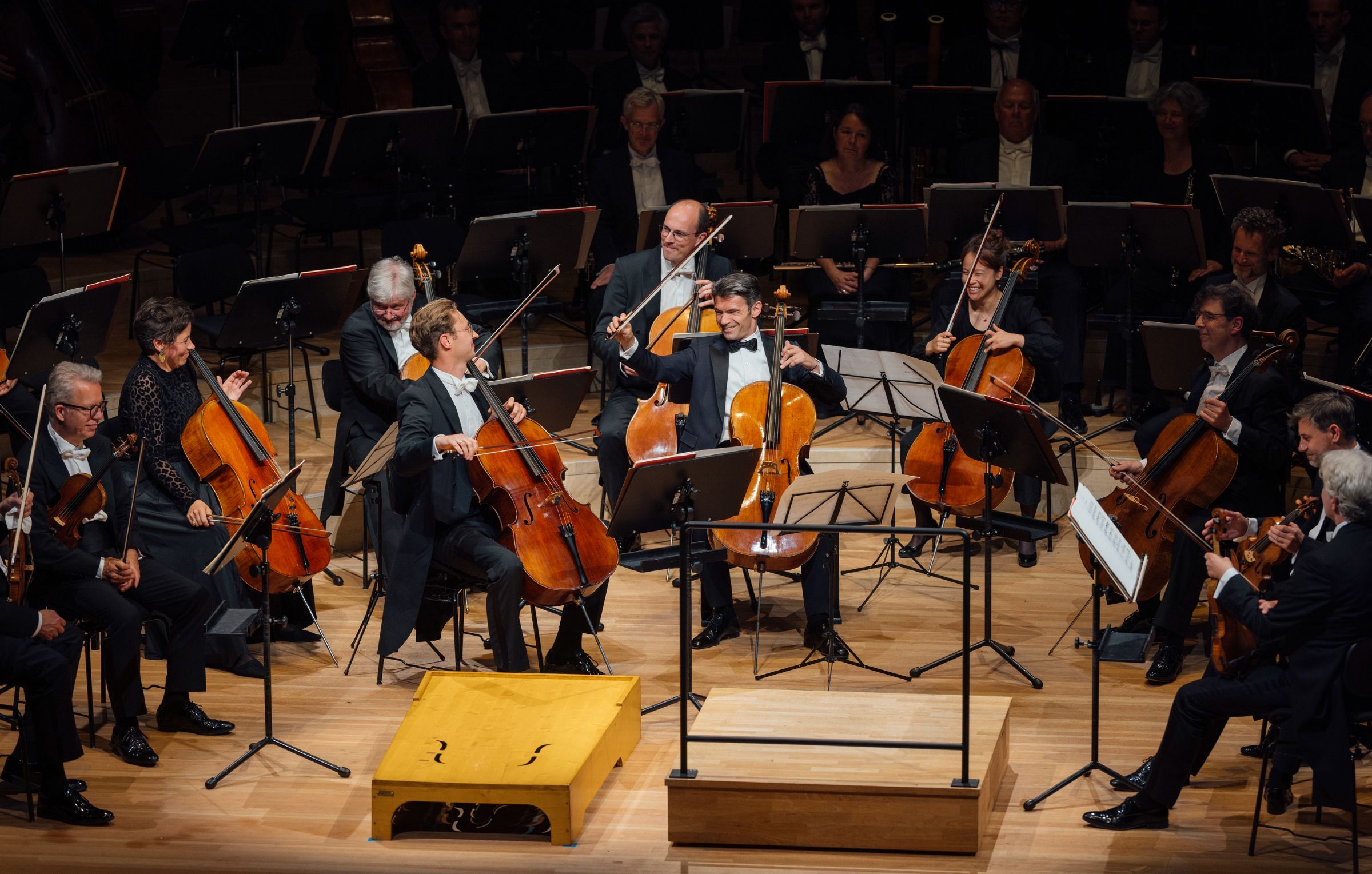 Gautier Capuçon and the Staatskapelle Dresden cellos &copy; Oliver Killig