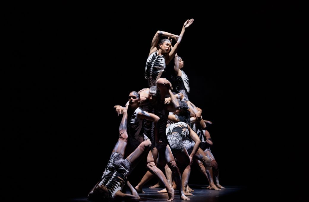 Bangarra Dance Theatre in Frances Rings&rsquo; <i>Sheoak</i> &copy; Daniel Boud