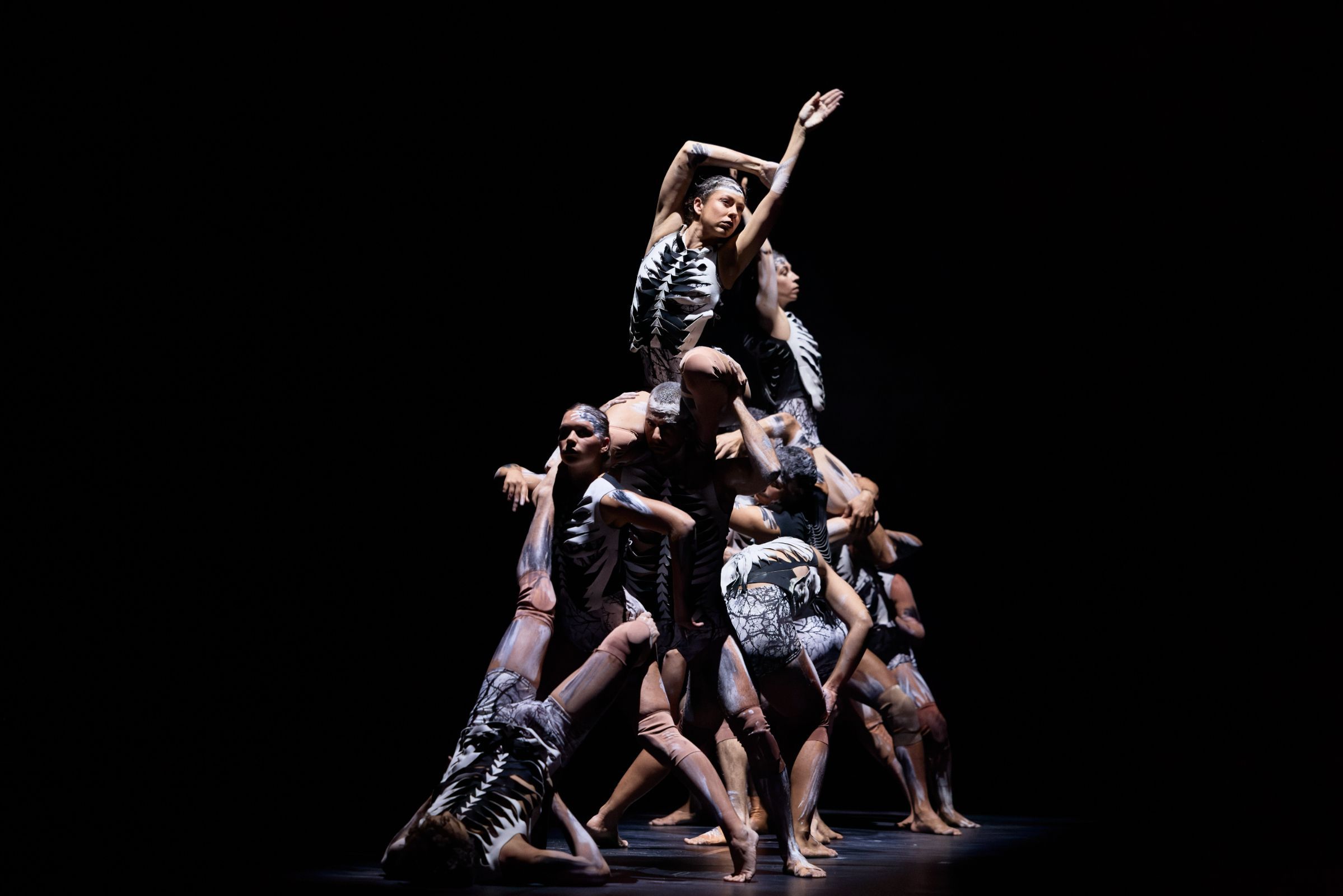 Bangarra Dance Theatre in Frances Rings’ <i>Sheoak</i> &copy; Daniel Boud