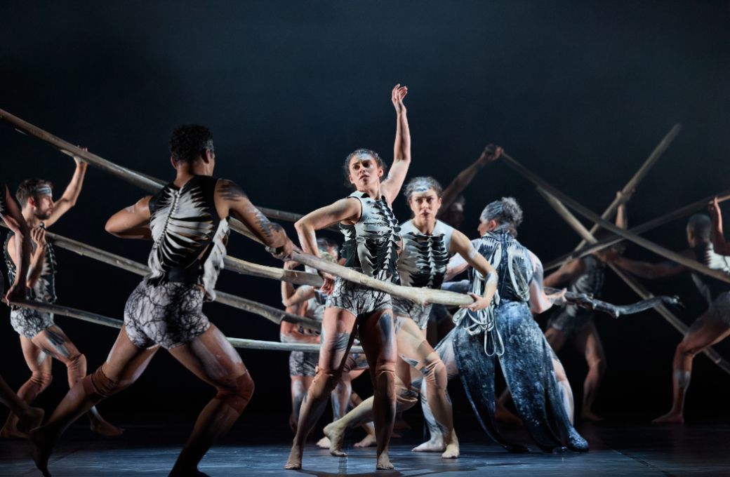 Bangarra Dance Theatre in Frances Rings&rsquo; <i>Sheoak</i> &copy; Daniel Boud