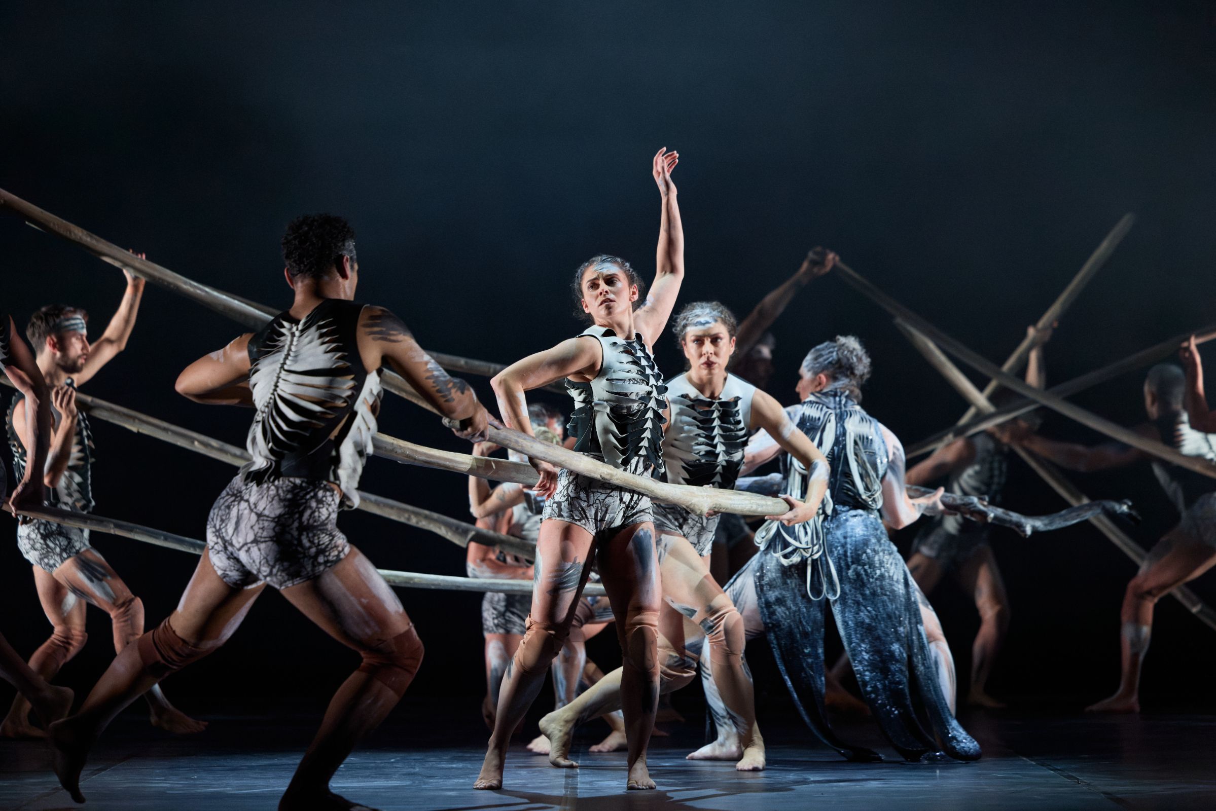 Bangarra Dance Theatre in Frances Rings’ <i>Sheoak</i> &copy; Daniel Boud
