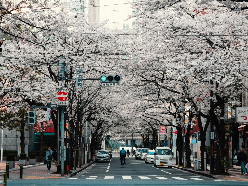 Tokyo &copy; Agathe | Unsplash