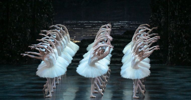 National Ballet of Japan in Sir Peter Wright’s <i>Swan Lake</i> © Takashi Shikama