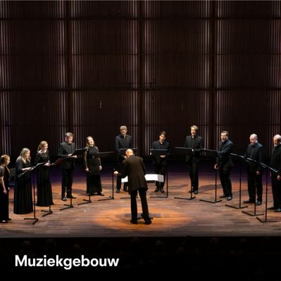 © Marieke Wijntjes