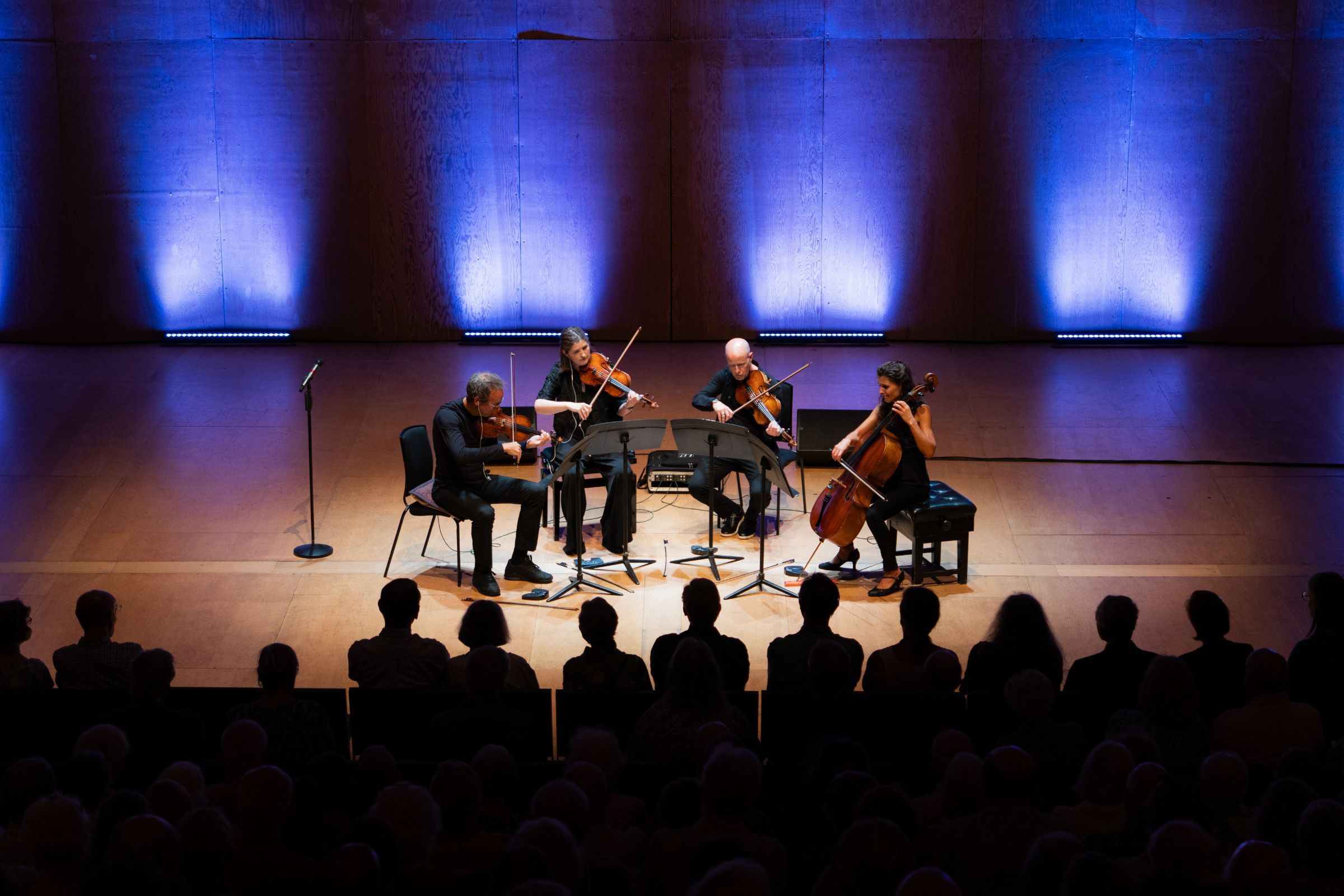 The Carducci Quartet © Angus Cooke