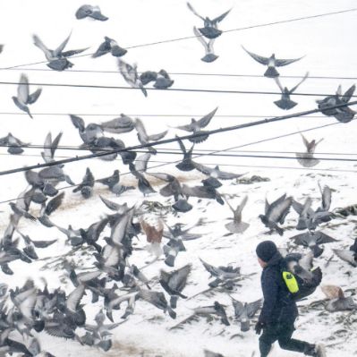 &copy; Belgaimage &amp; AFP Archive