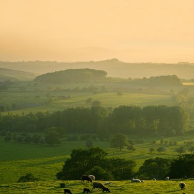 Pastoral Symphony