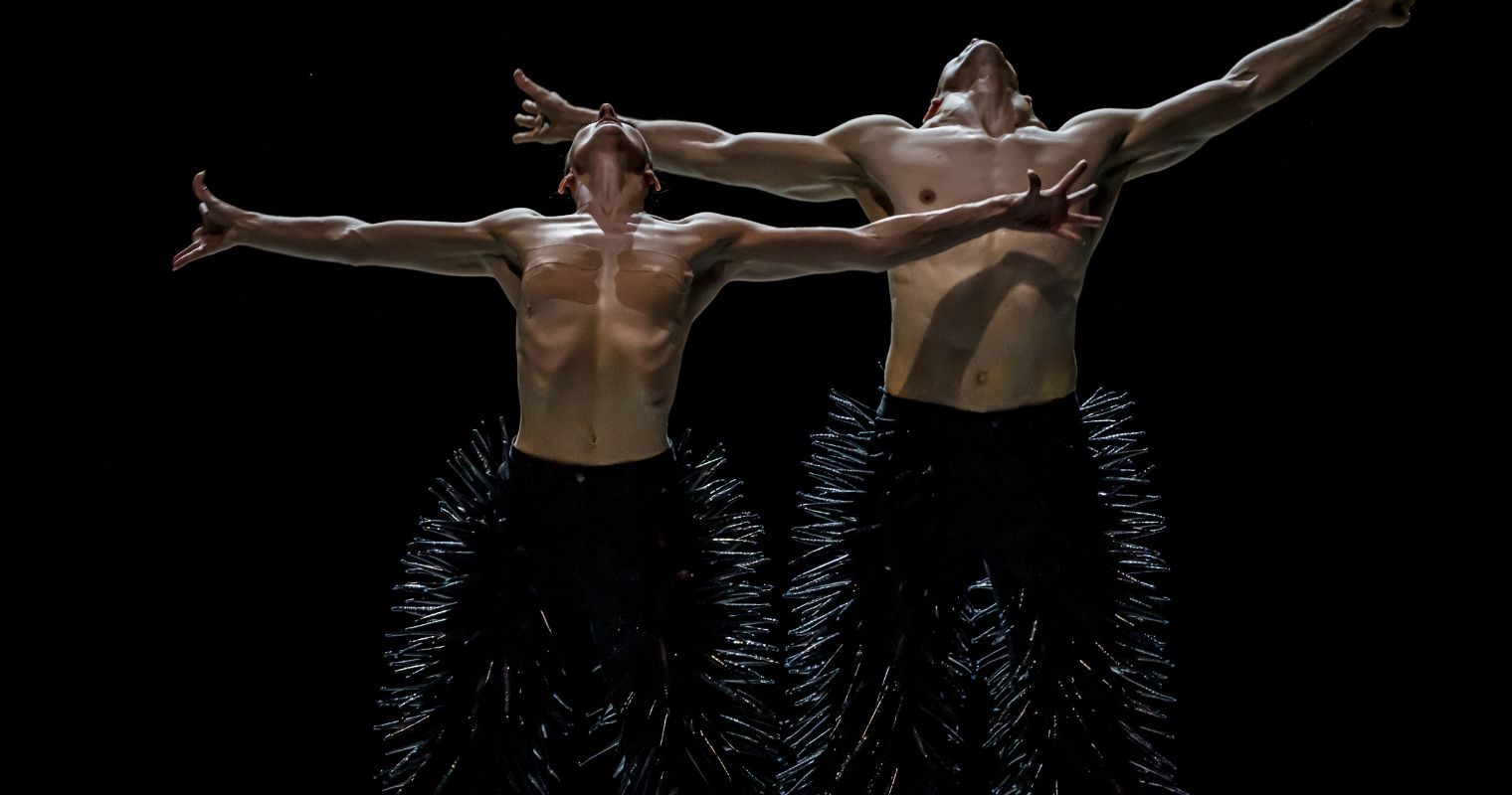40 years of Les Ballets de Monte-Carlo: celebrating in style © Alice Blangero