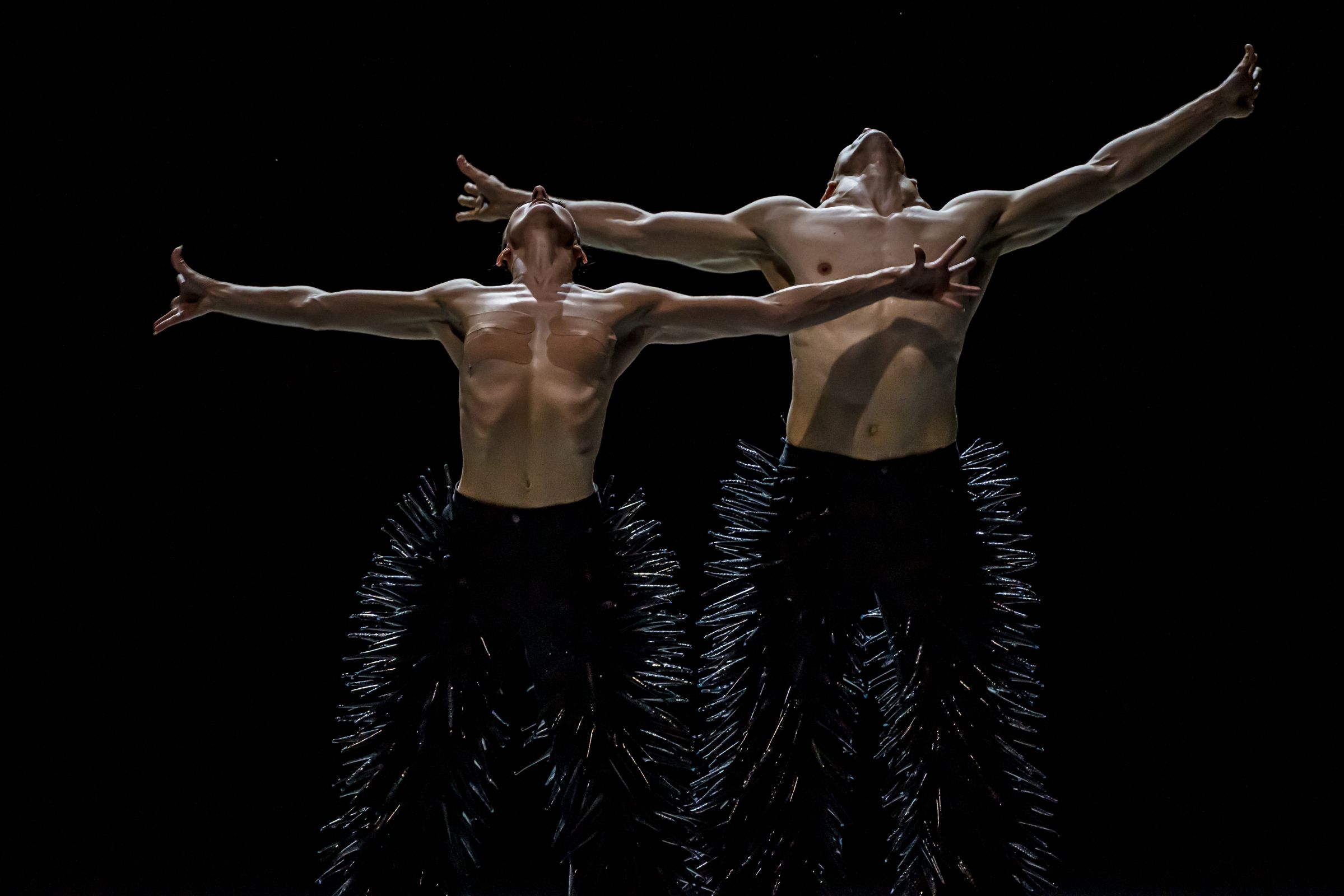 40 years of Les Ballets de Monte-Carlo: celebrating in style © Alice Blangero