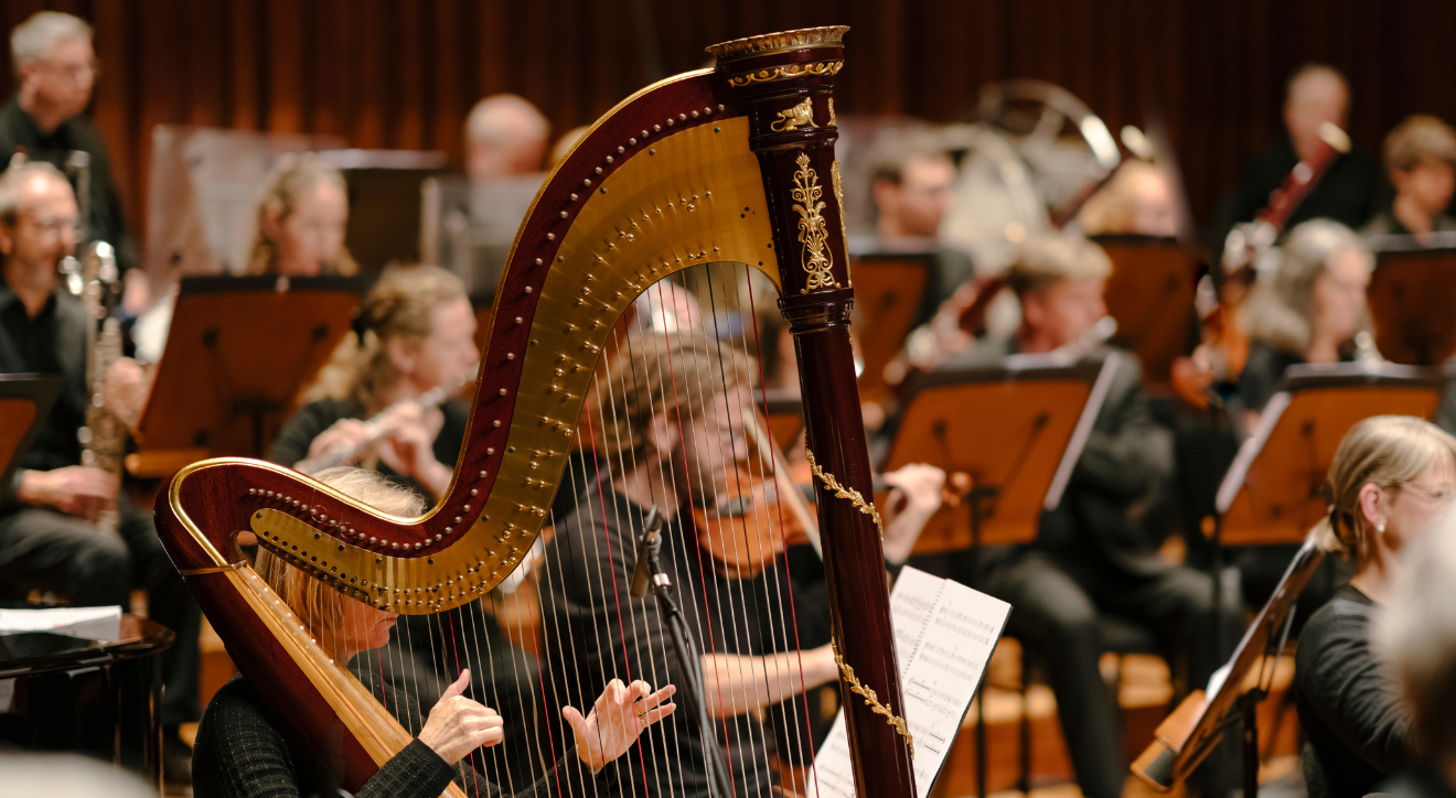 ENO Orchestra &copy; Drew Forsyth | ENO