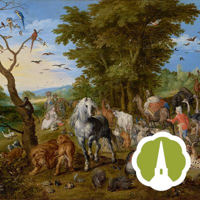 Haydn The Creation