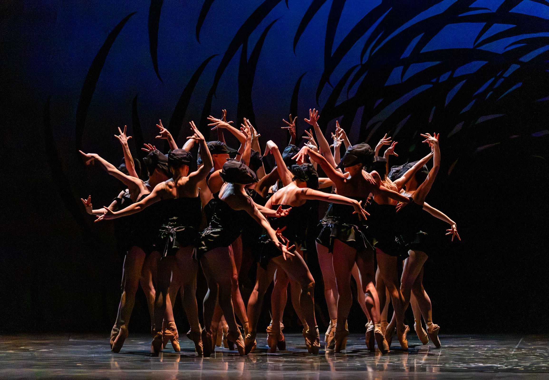 Scottish Ballet dancers in Crystal Pite’s <i>Emergence</i> &copy; Andy Ross